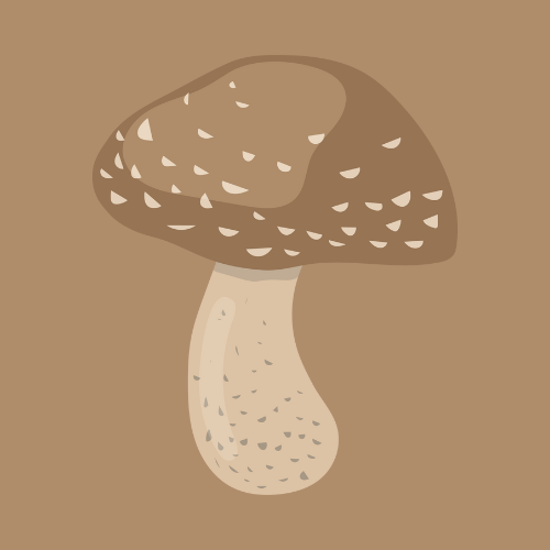 The "Magic 🪄" in our Mushroom Magic!